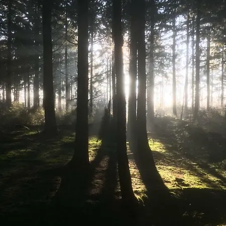 Prázdninový dům Huize Donkersvoort