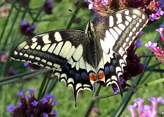 Huize Donkersvoort Beek en Donk