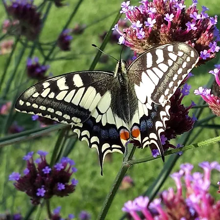 Huize Donkersvoort Beek en Donk
