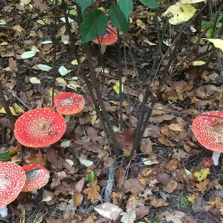 Huize Donkersvoort * Beek en Donk