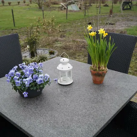 Bed & Breakfast Donkersvoort *